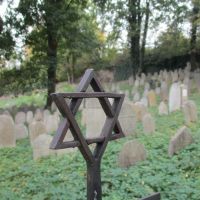 128. V�let za histori� z�mku v Dubu u Prachatic, tvrze ve Volyni, synagogy ve �kyni, z�mku v Bohumilic�ch i tvrze v Smr�n� - Mgr. Blanka Rozko�n�
