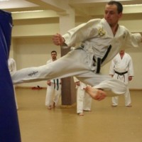 TJ Karate